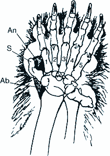 Abb. 1