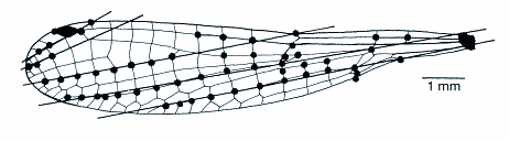 Abb. 1